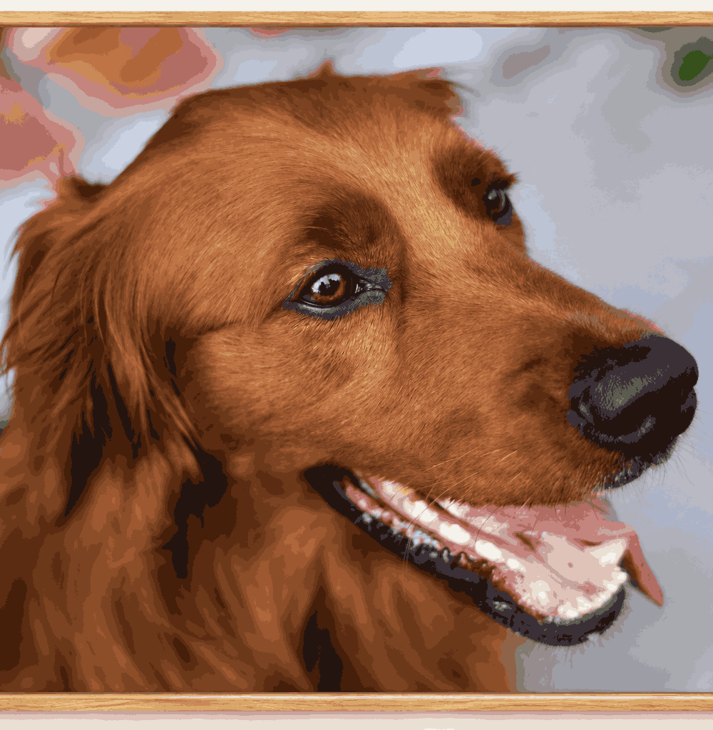 Pet