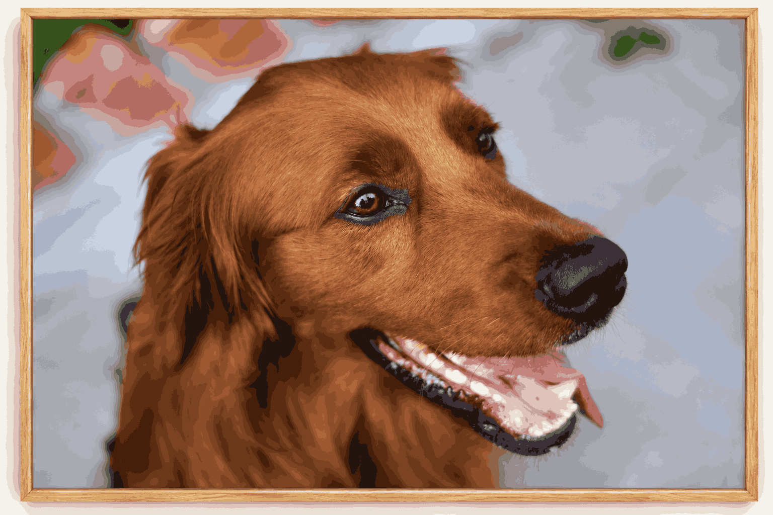 Pet
