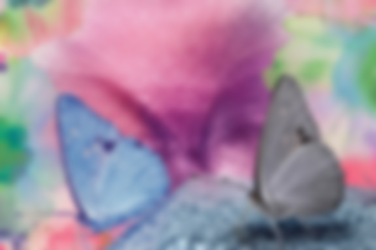 butterfly-blur